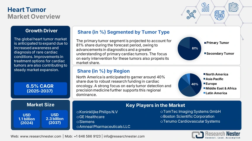 Heart Tumor Market Overview